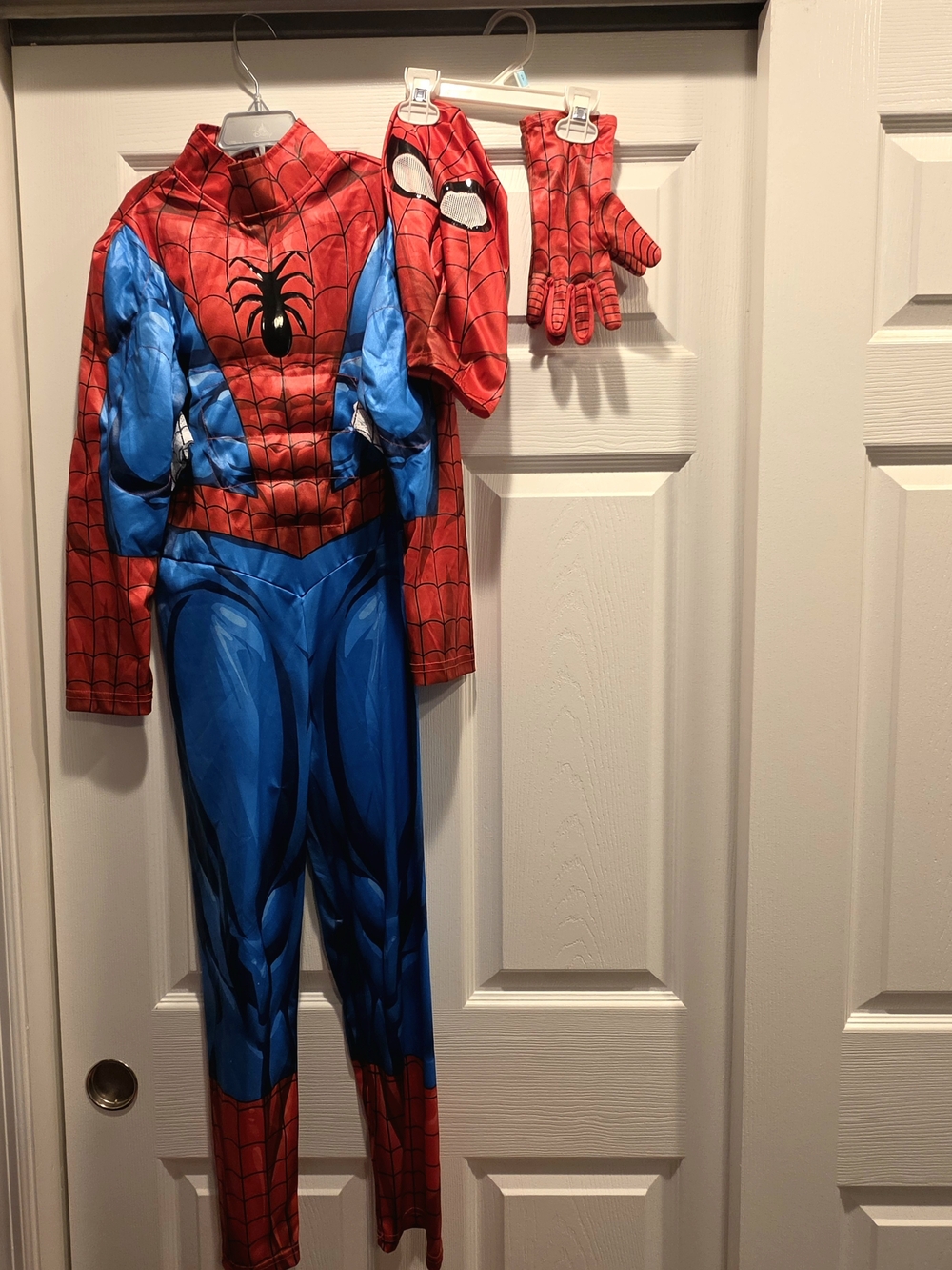 Spider-Man Costume with Mask and Gloves.
